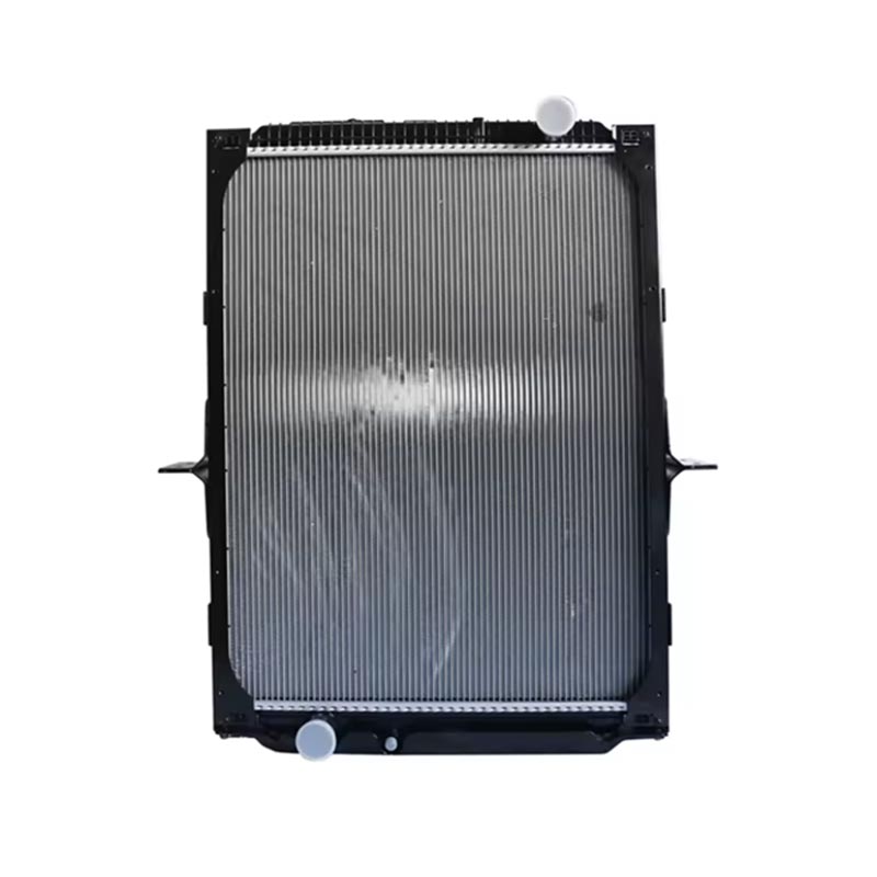 Motoraccessoire radiateur DZ91125328